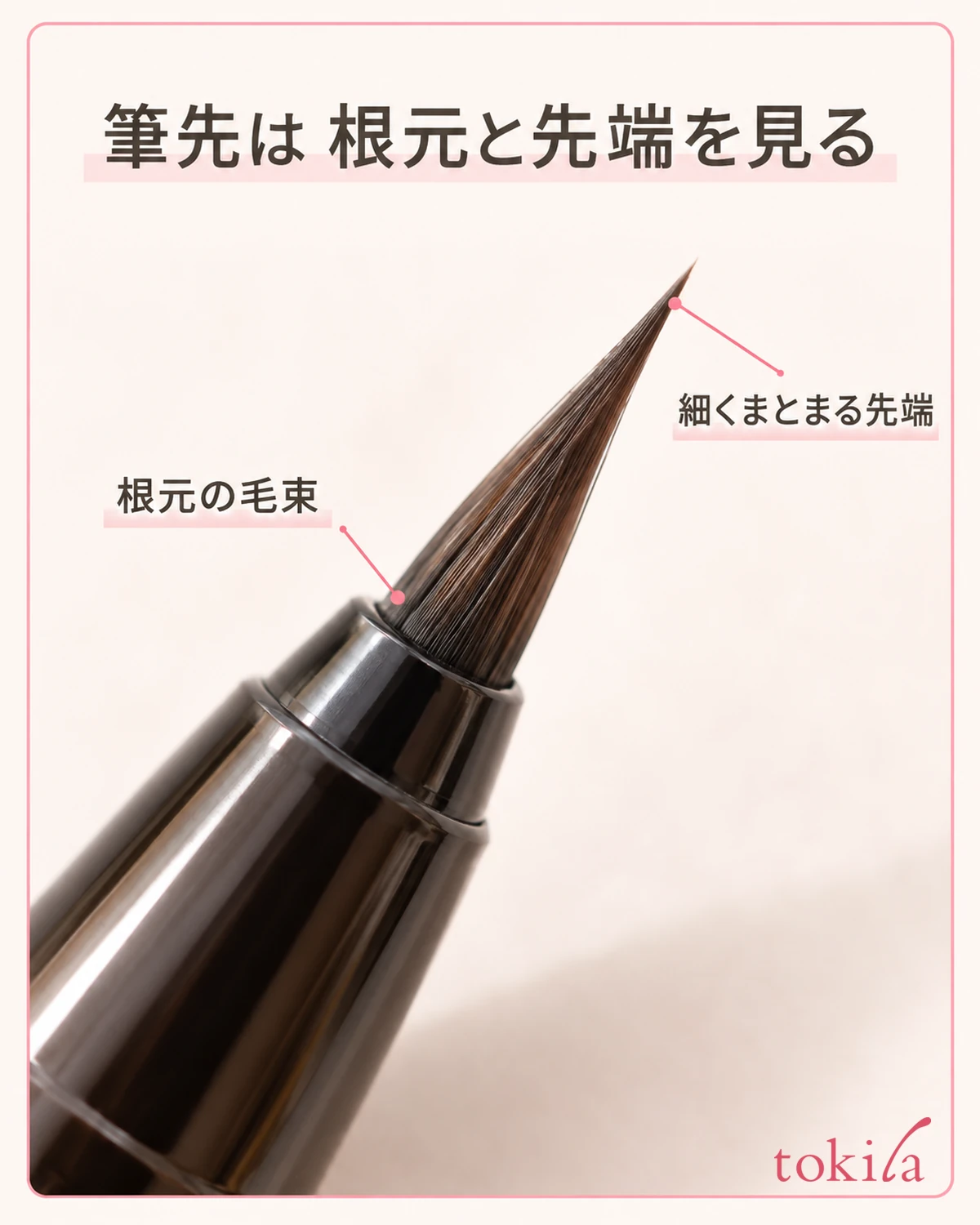 笔尖根部聚拢的纤维和纤细笔尖的轮廓