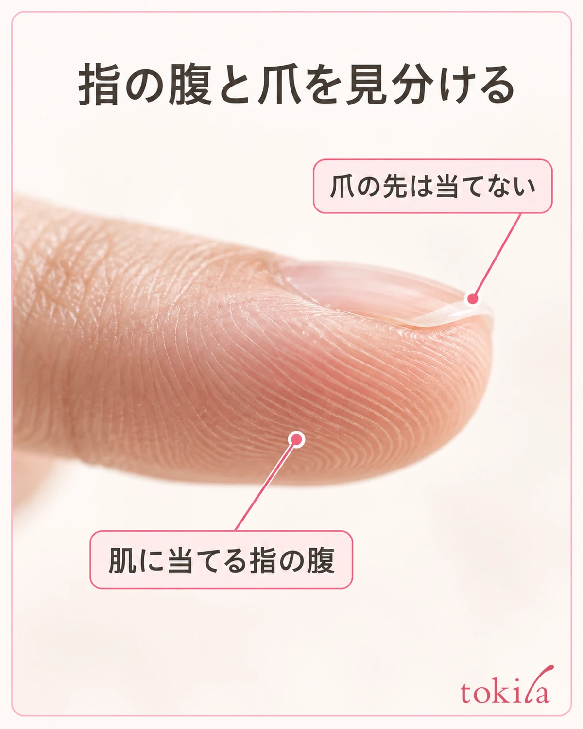 指の腹の丸みと細い指紋、上側の短い爪の縁