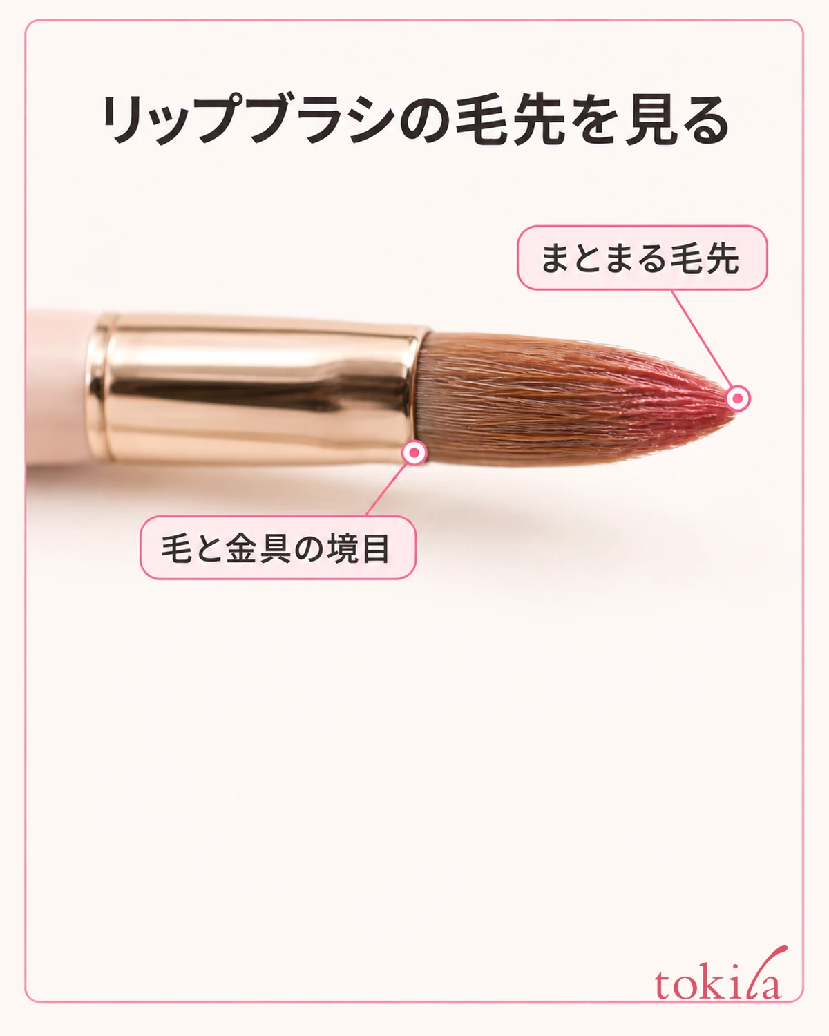 The fine point of gathered bristles and where the bristles enter the ferrule