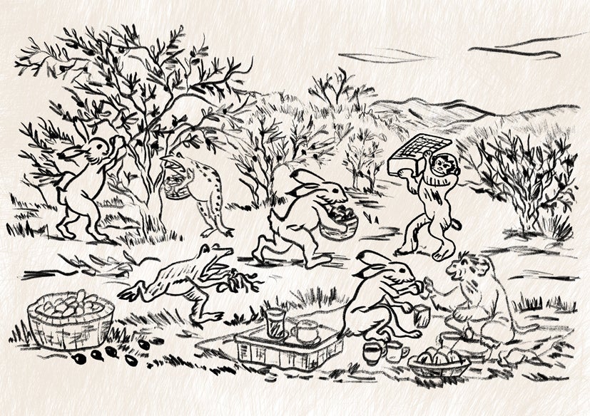 オリーブを収穫する兎・蛙・猿を描いた小豆戯画の作品