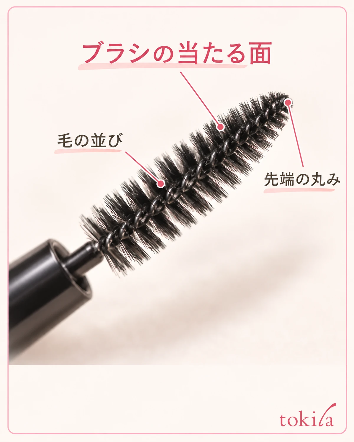 ブラシの毛の並びと先端の丸みを近くで見ます。