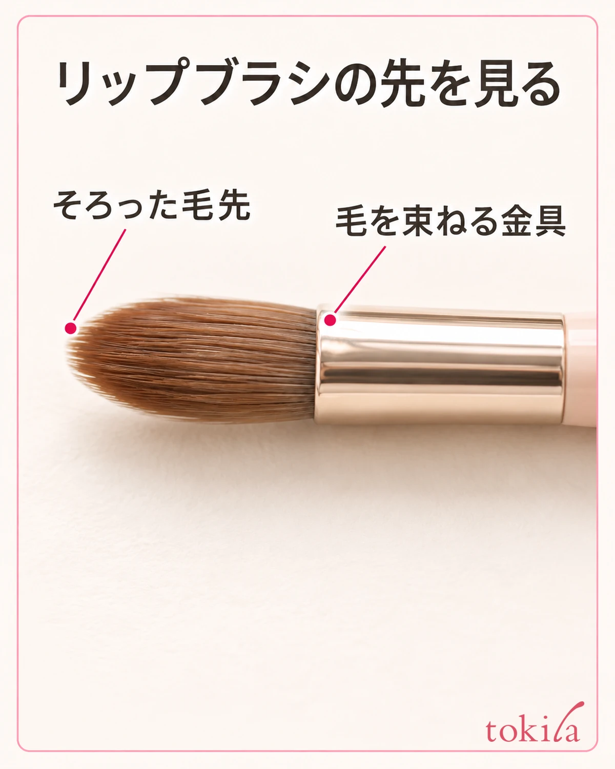 The even, fine bristle tips of a brush and the boundary where the metal ferrule holds the bristles together