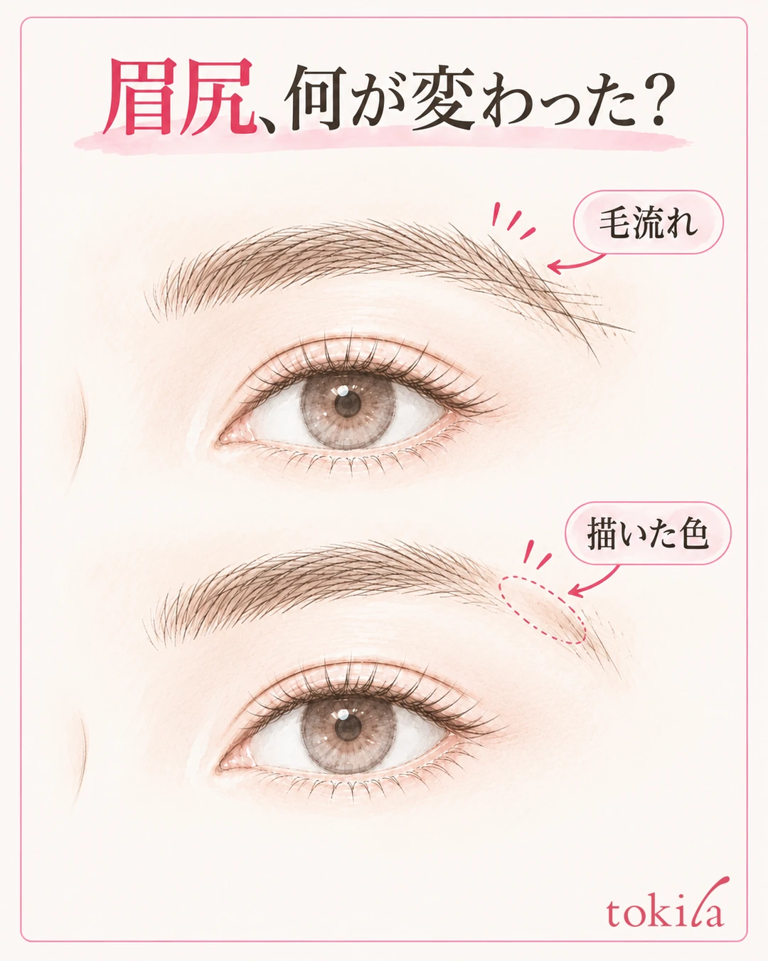 눈썹 꼬리의 털 결과 맨살에 그린 색이 옅어진 구간을 나누어 확인하는 그림