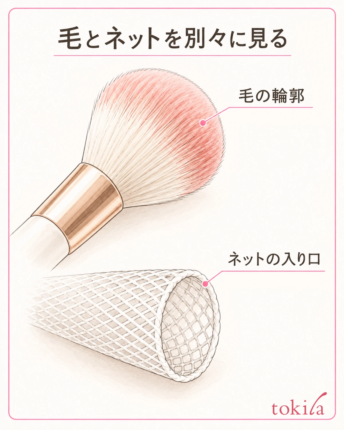 毛の輪郭とネットの入り口を別々に確認します。