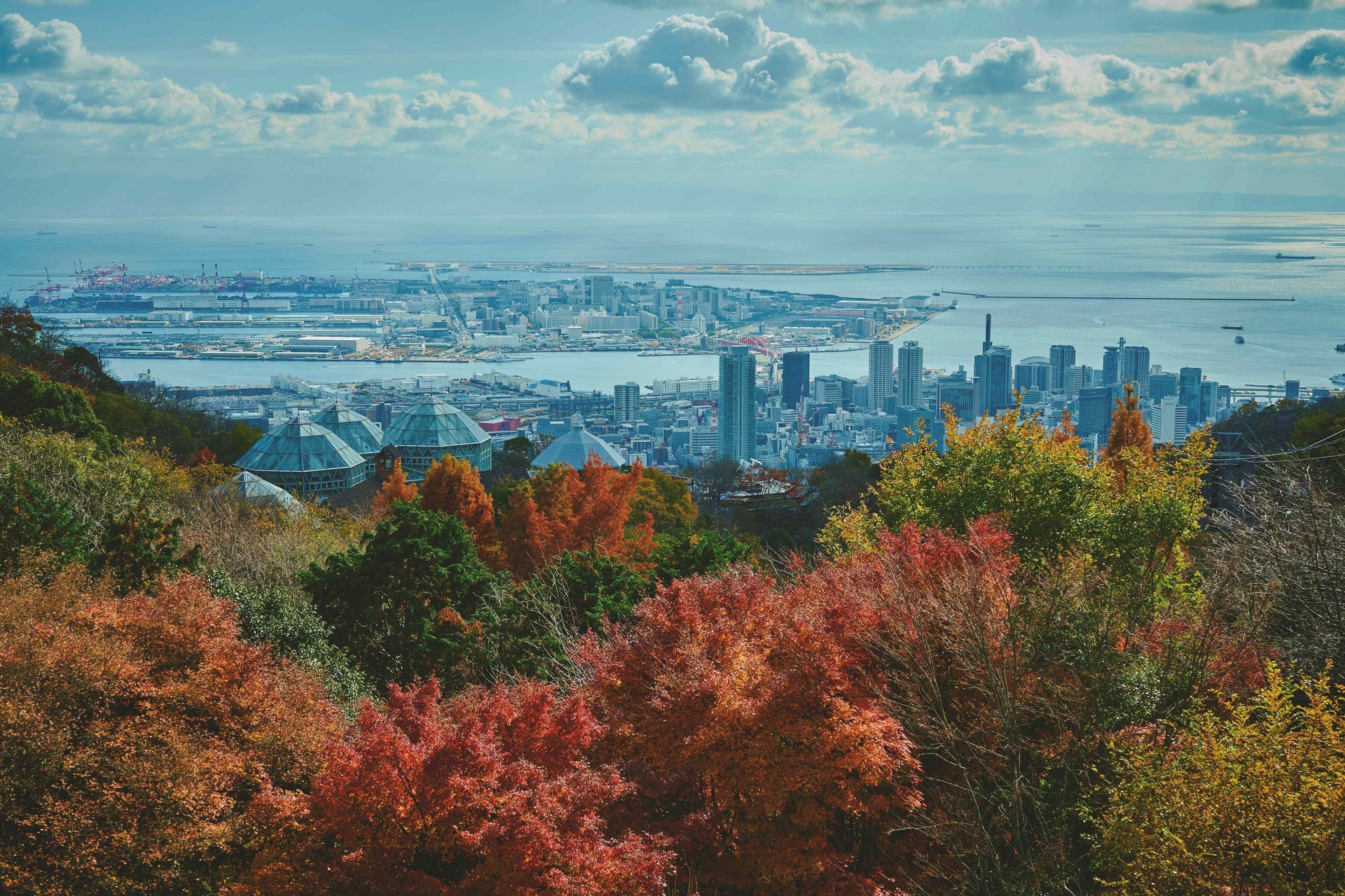 紅葉の向こうに神戸の街並みと海が広がる展望プラザからの眺め