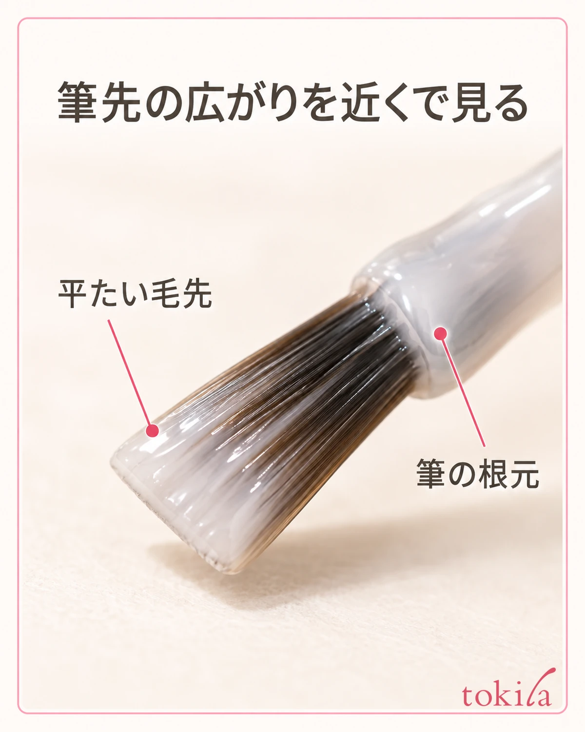 平头笔刷刷毛的宽度与刷毛根部