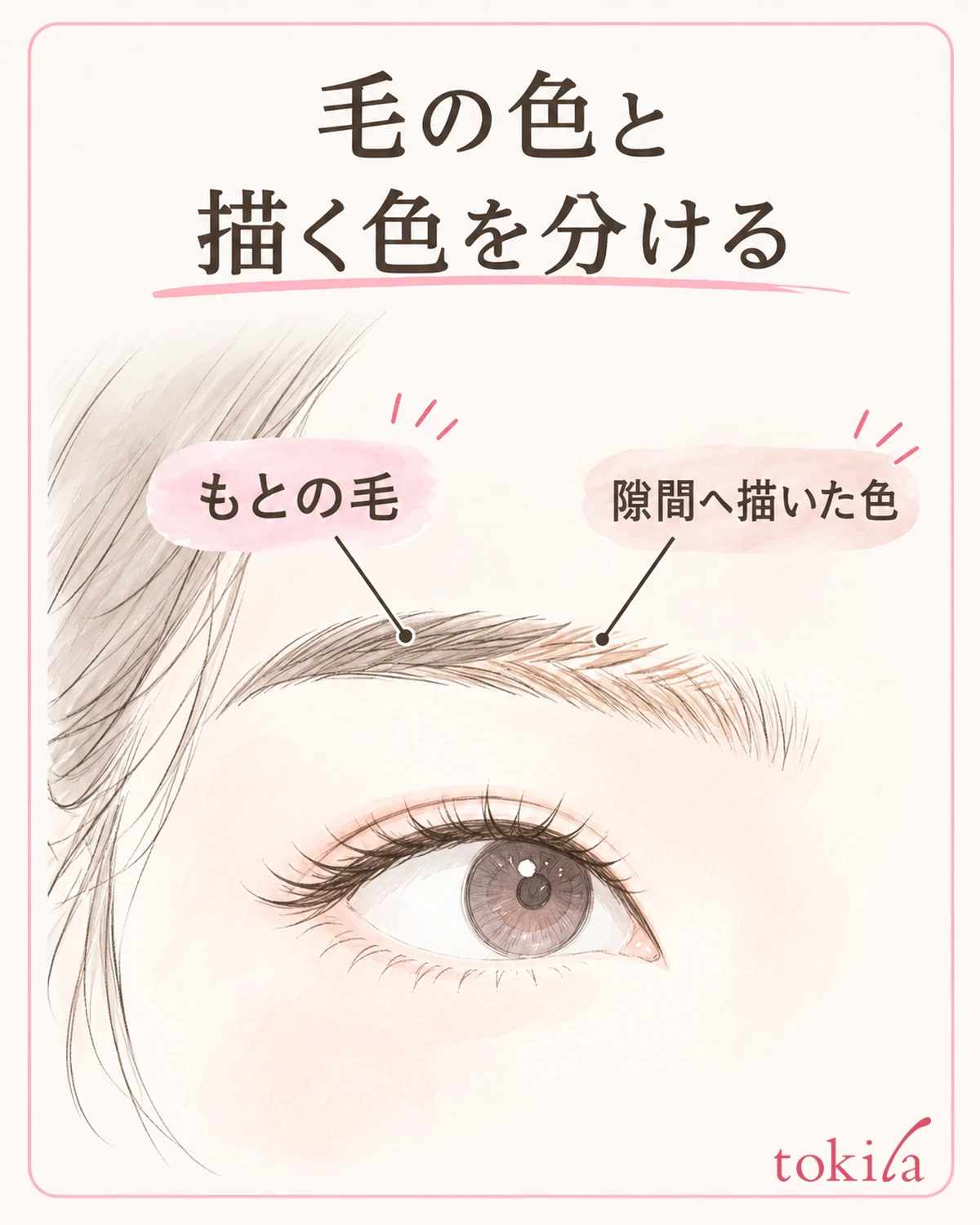 원래의 털과 빈틈에 그리는 색을 나누고, 용도에 맞는 도구를 고릅니다.