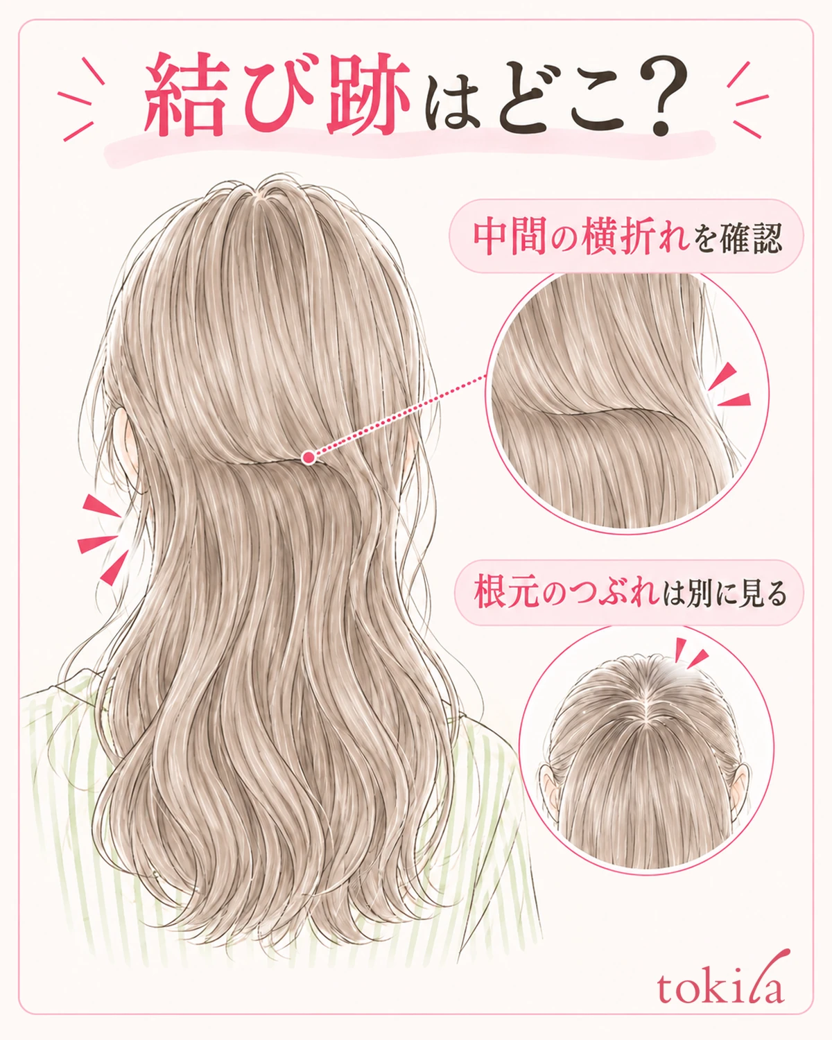 結んでいた高さの横折れと、根元のつぶれを分けて見る。