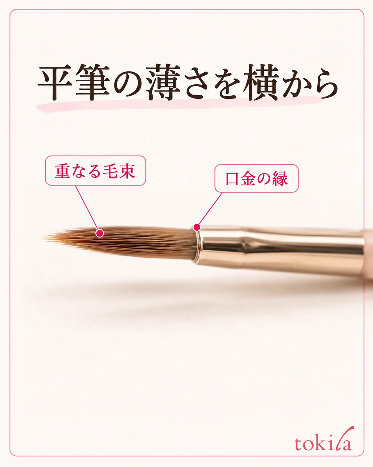平筆の薄い毛束と金属口金の縁を近くで見ます。